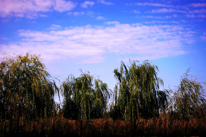 DSC_4366.JPG