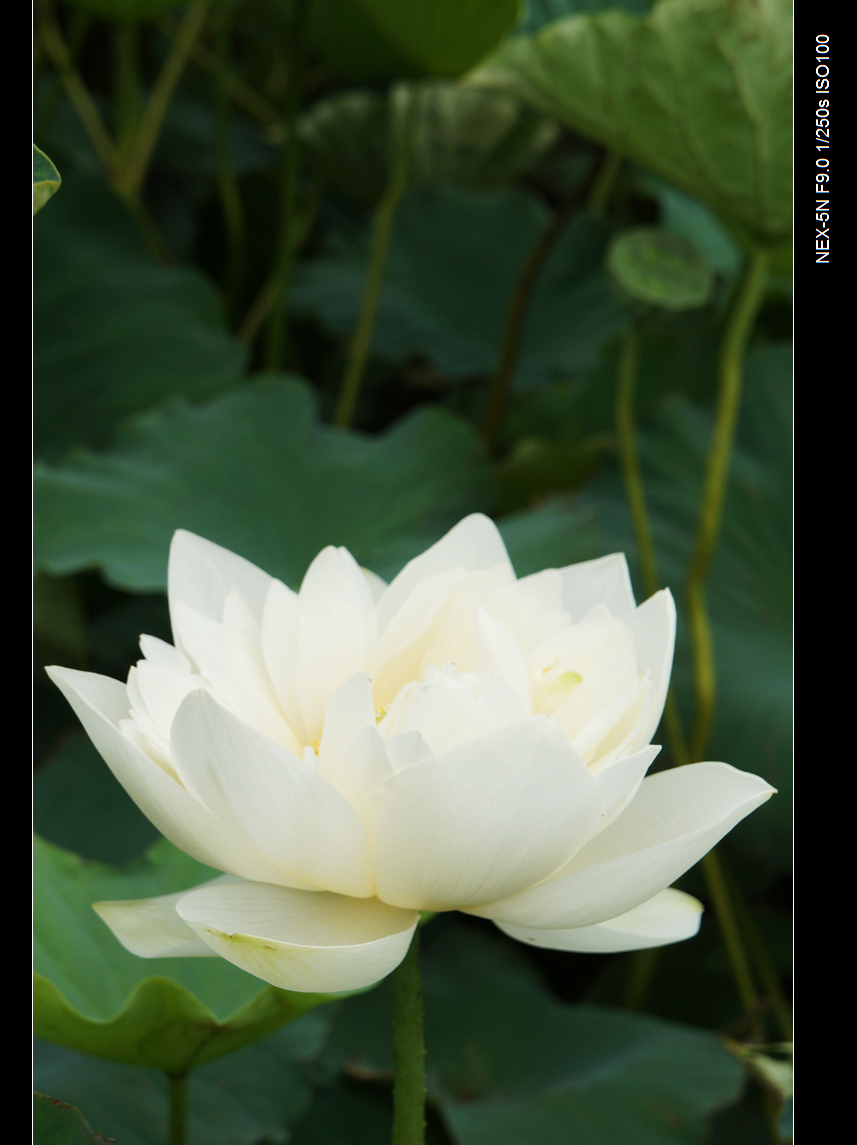 DSC05973.jpg