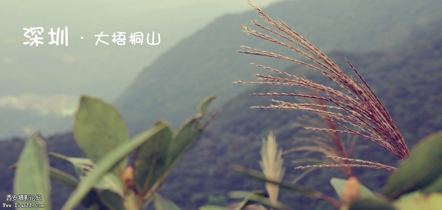 调整大小 2.jpg