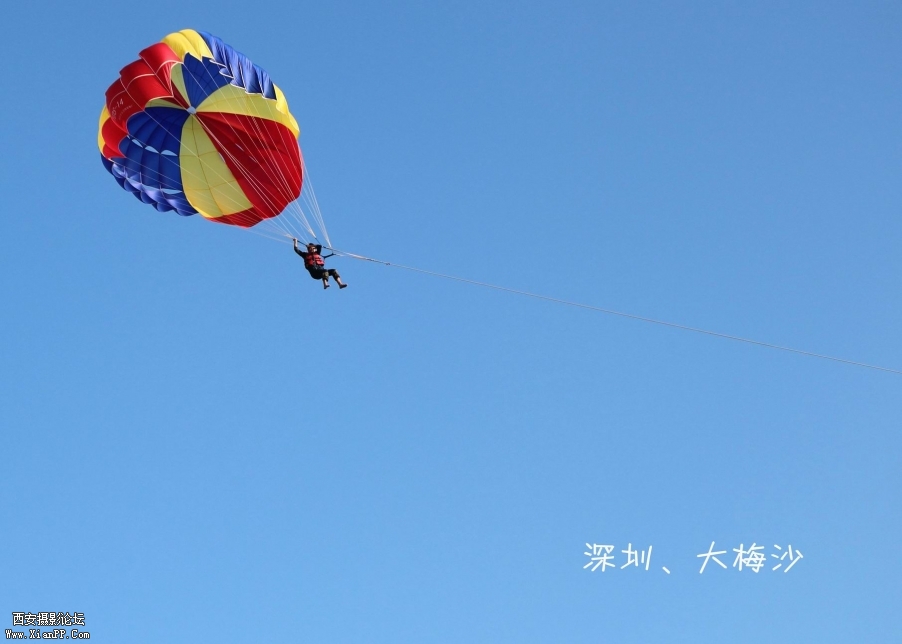 调整大小 DPP_0277.jpg
