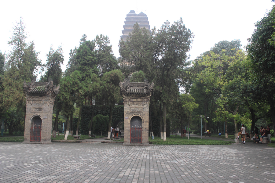 nEO_IMG_IMG_0543.jpg