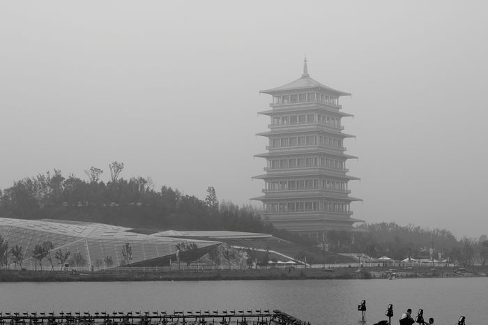 nEO_IMG_7月8日世博园102.jpg