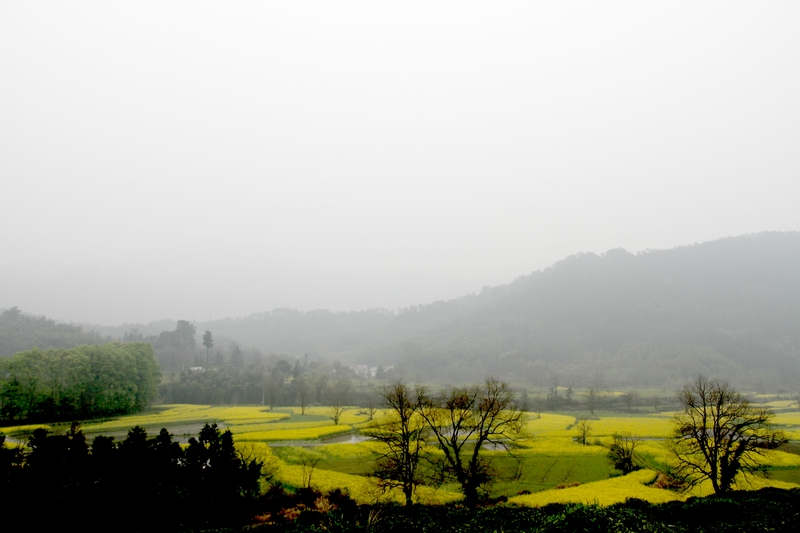 黄山旅游照片 742.jpg