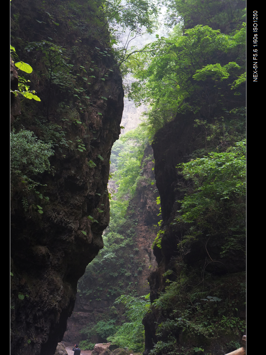 DSC06096.jpg