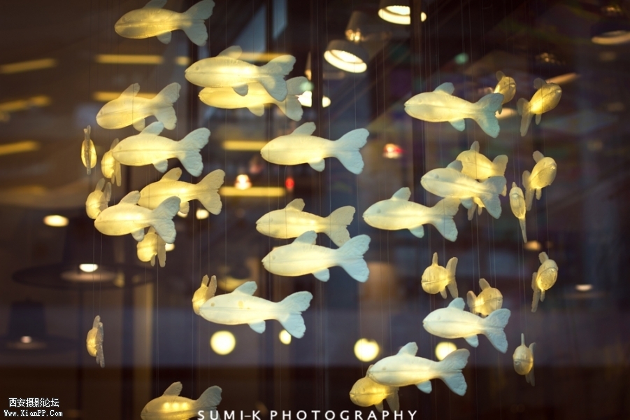D8518D9DB5B9FC557F0DB5FAD9F4772B_1000_667.JPEG