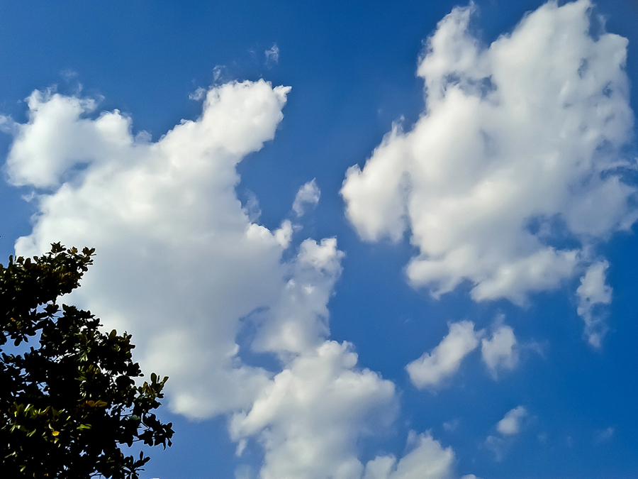 IMG_20120607_170849.jpg