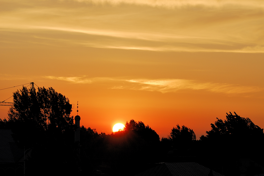 _DSC0207.jpg