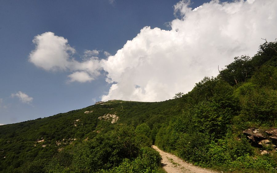 DSC_0013.jpg