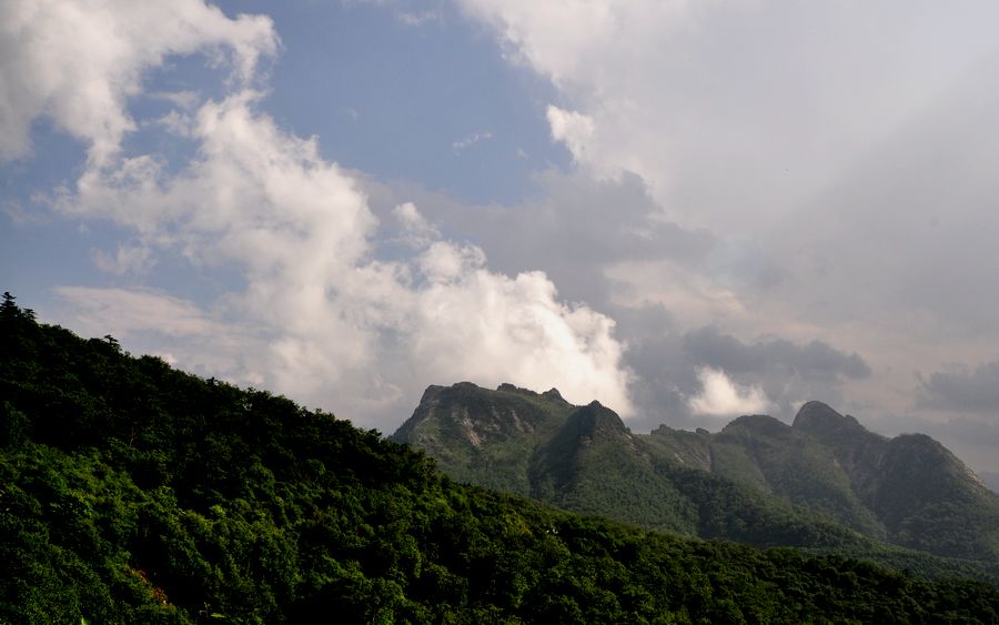 DSC_0024.jpg