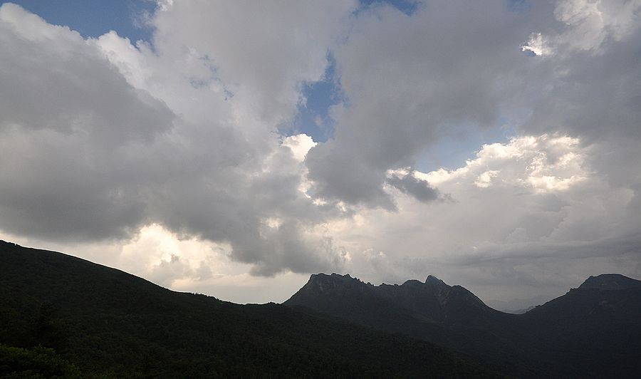 DSC_0079.jpg