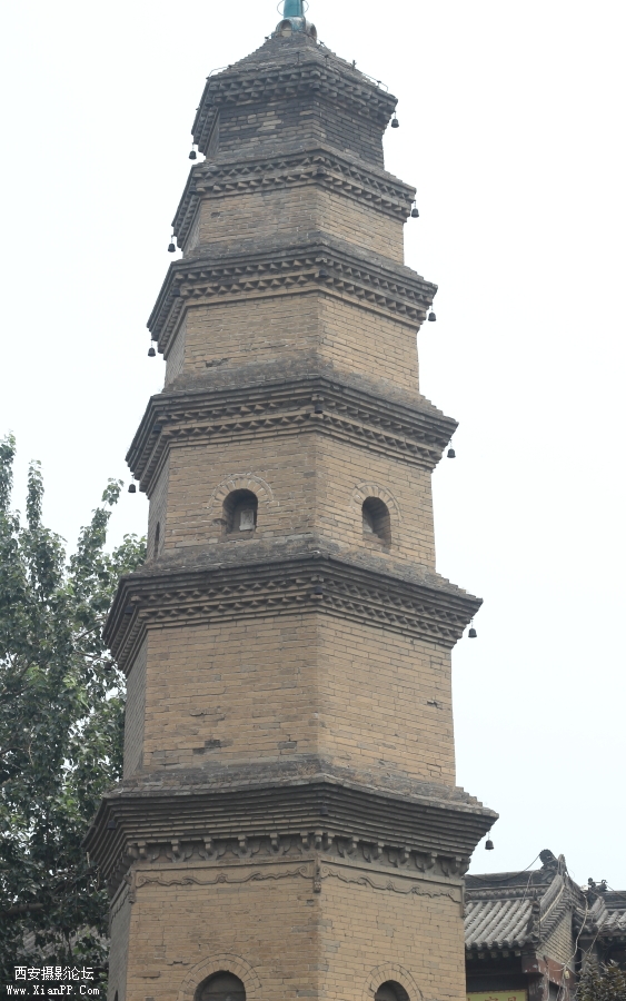 DPP_0025.JPG