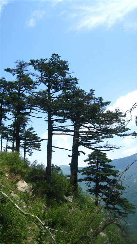 照片 007.jpg