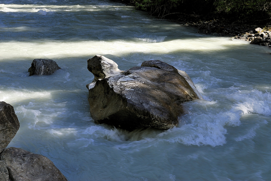 _DSC0016.jpg
