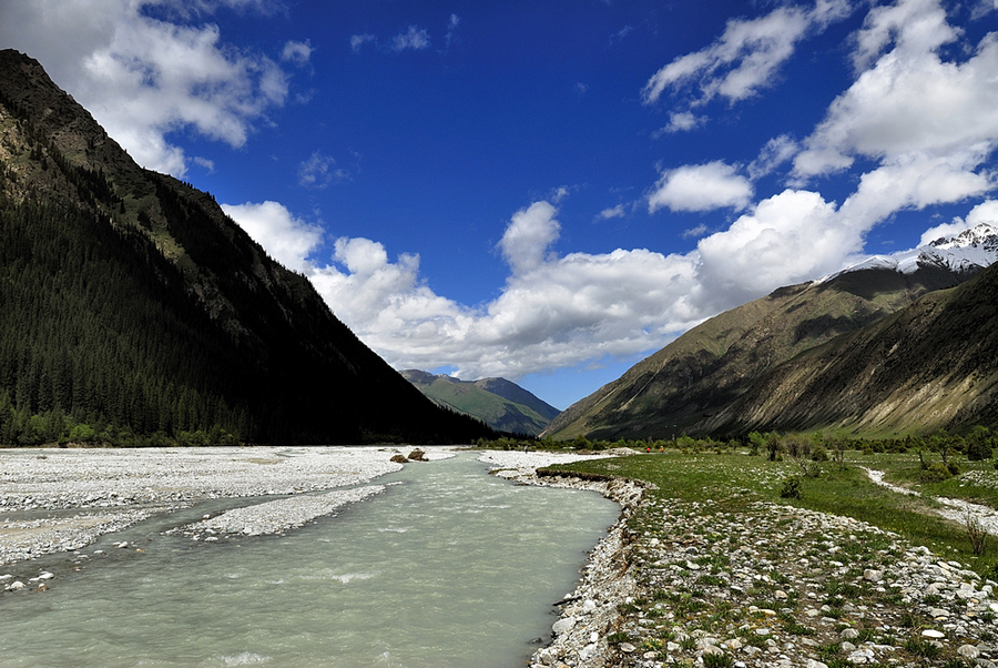 _DSC0064.jpg
