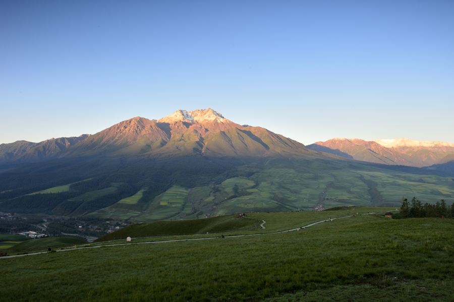 _DSC3996.jpg