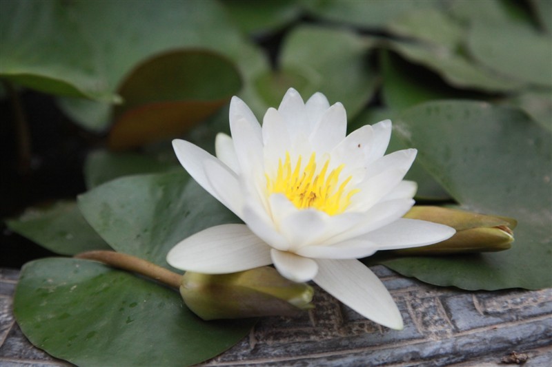 照片 026.jpg