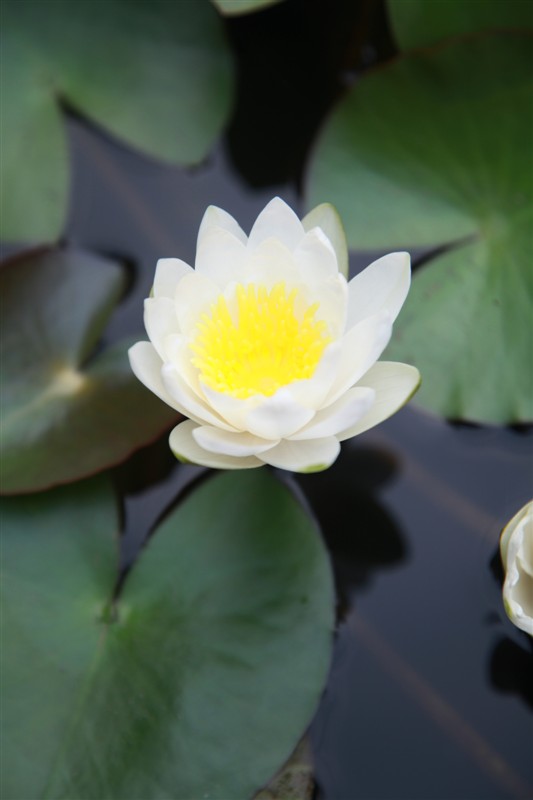 照片 027.jpg