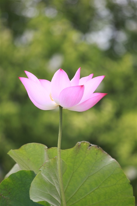 照片 035.jpg
