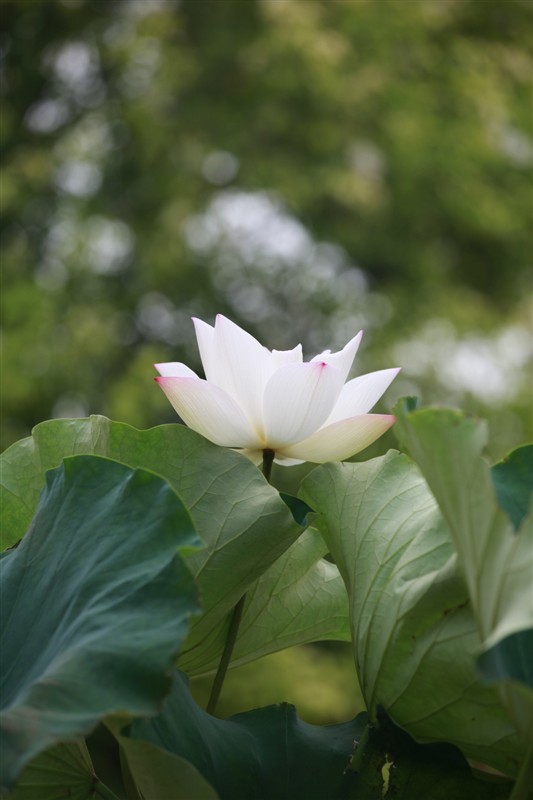 照片 038.jpg