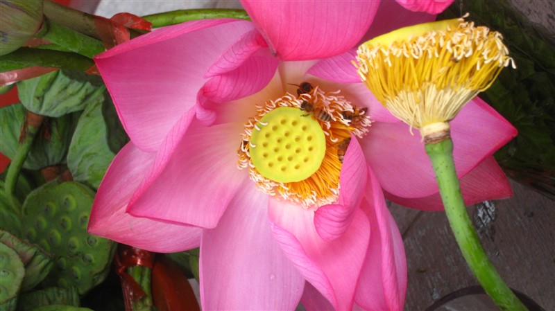照片 062.jpg