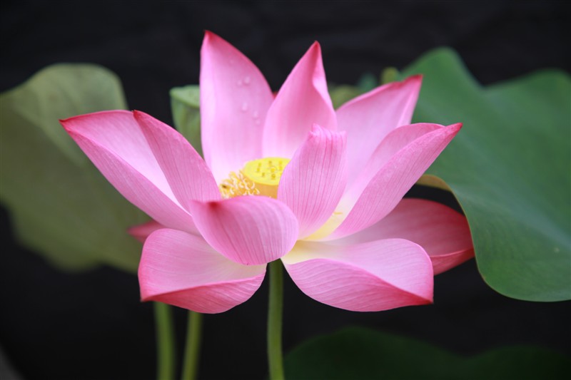 照片 067.jpg