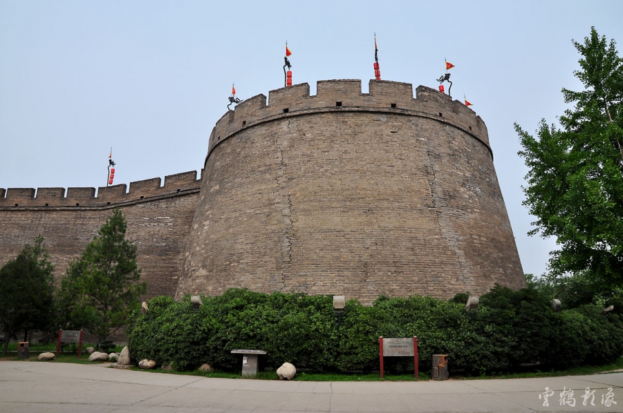 DSC_1423.jpg