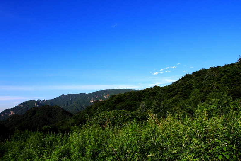 IMG_6126.jpg