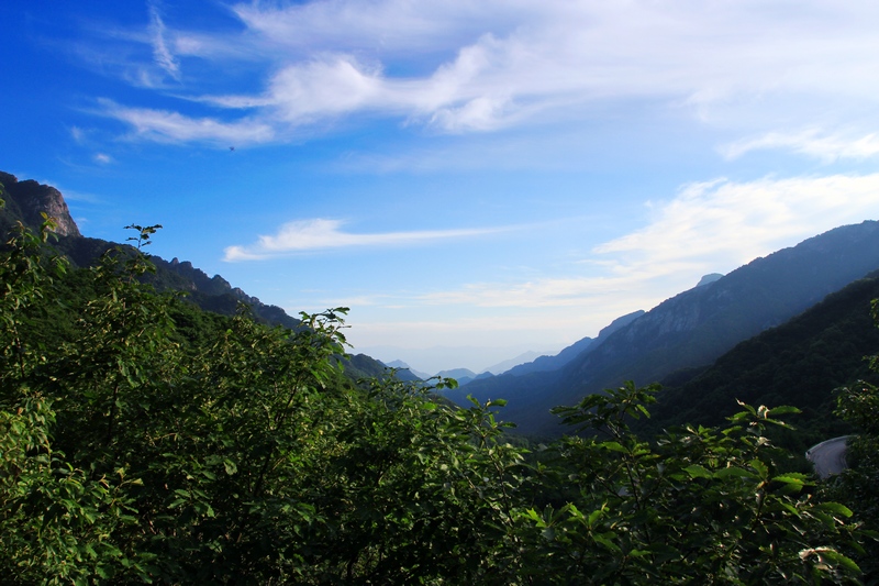 IMG_6151.jpg