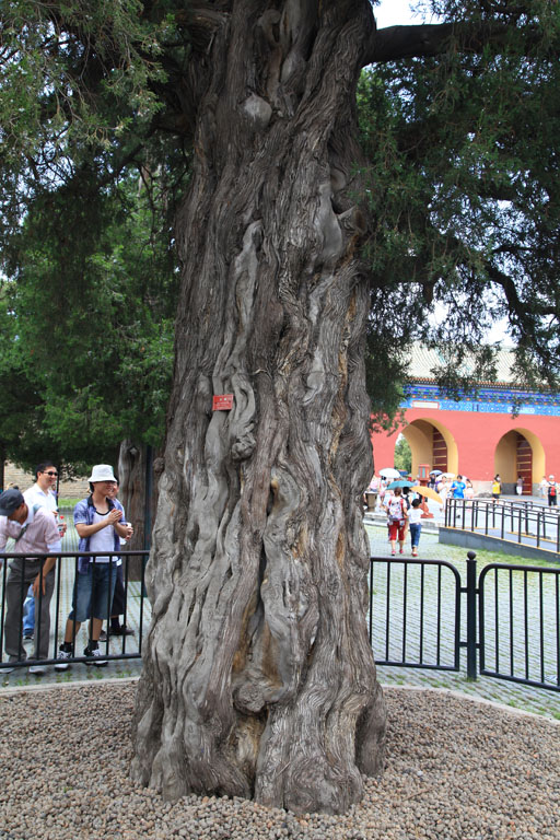 IMG_2032.jpg