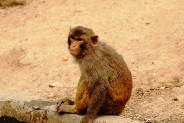 DSC_0183.JPG