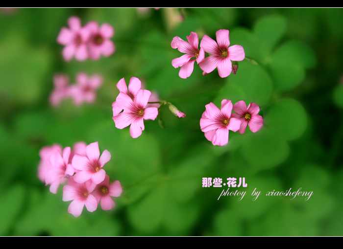 nEO_IMG_IMG_1039-11.jpg