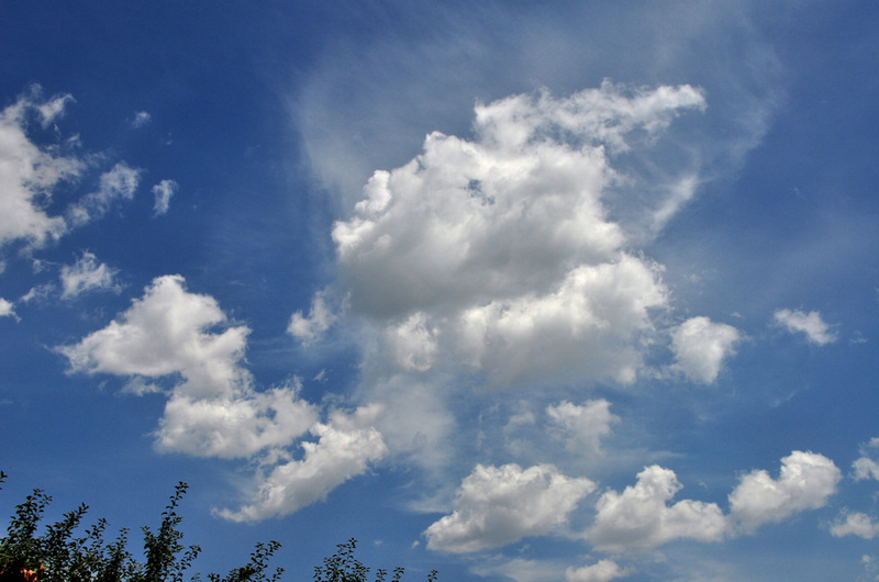 DSC_2996.jpg