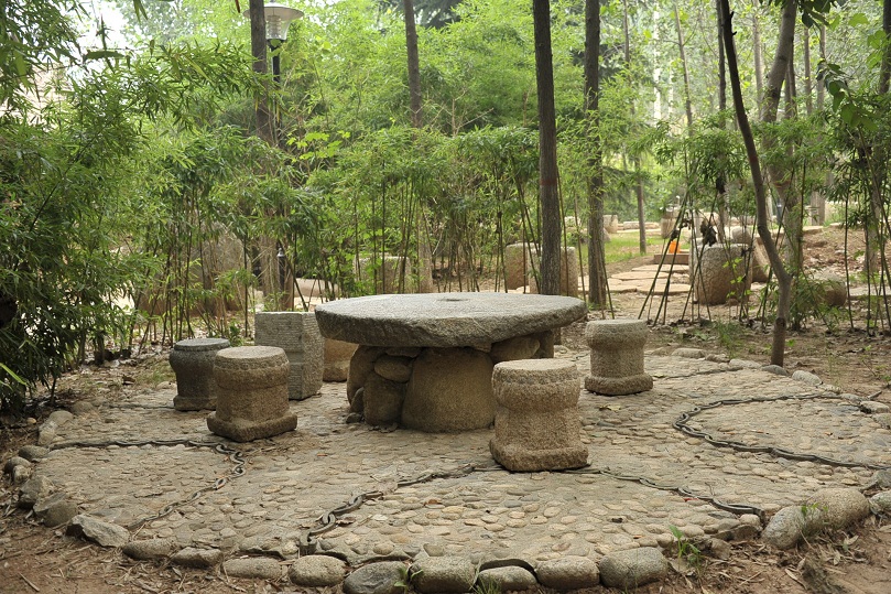 DSC_9917.JPG