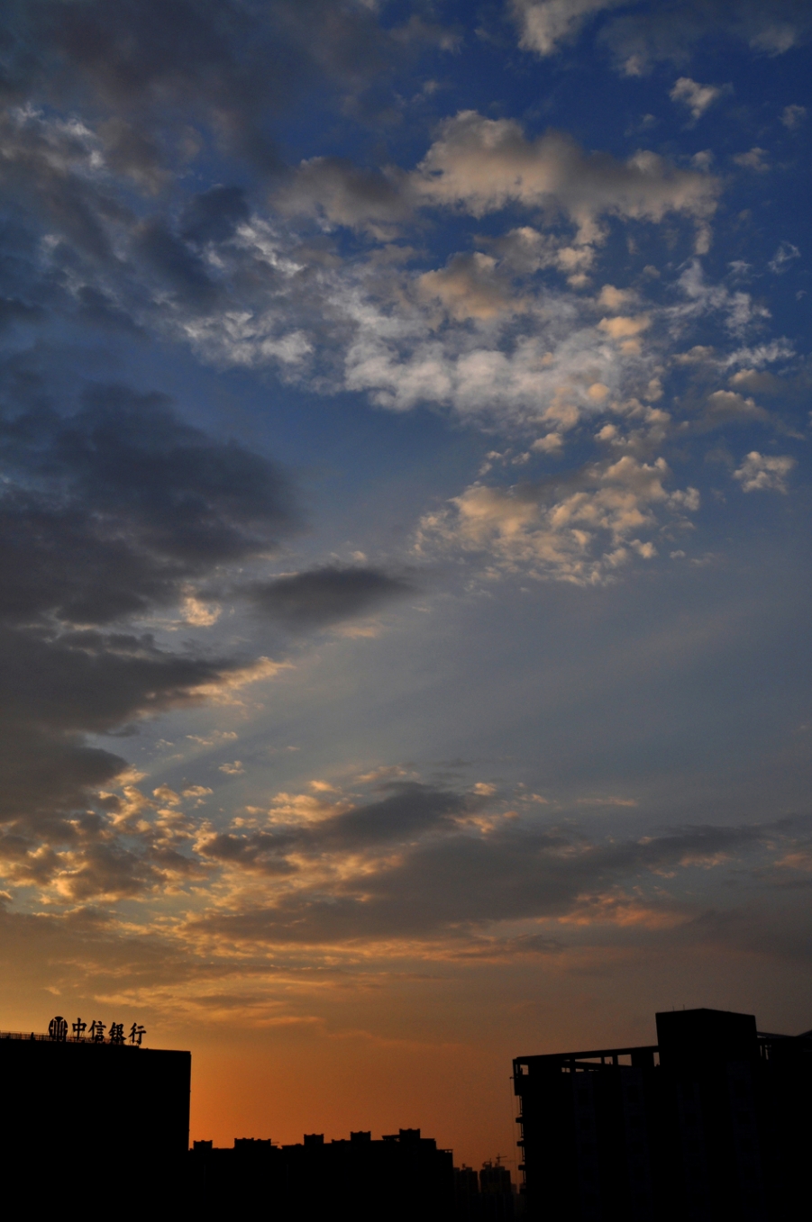 DSC_0187.jpg