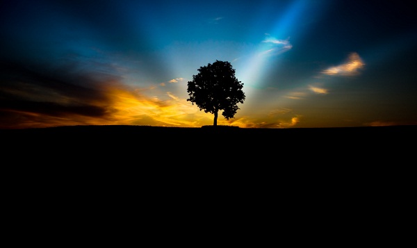 Tomorrow Will Be a Better Day By Loren Zemlicka.jpg