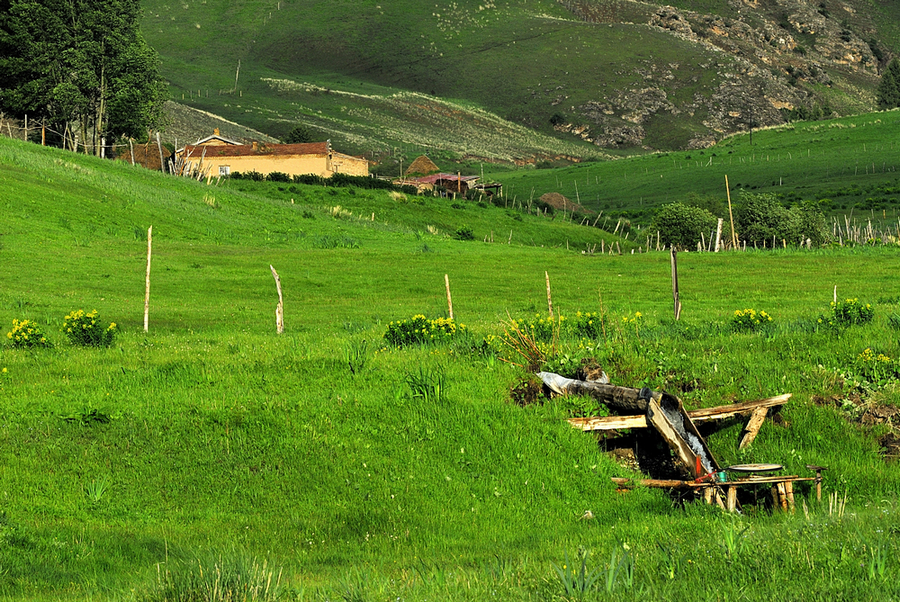 _DSC0260.jpg