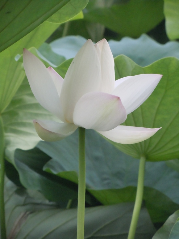照片 050.jpg