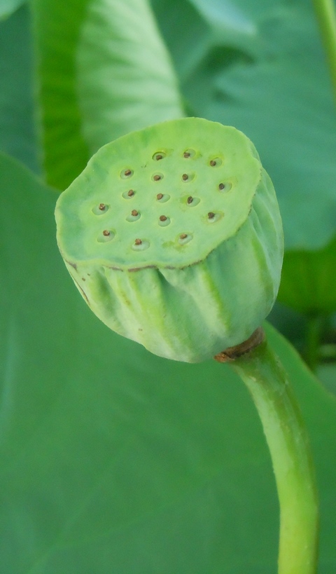 照片 087.jpg