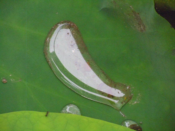 照片 109.jpg
