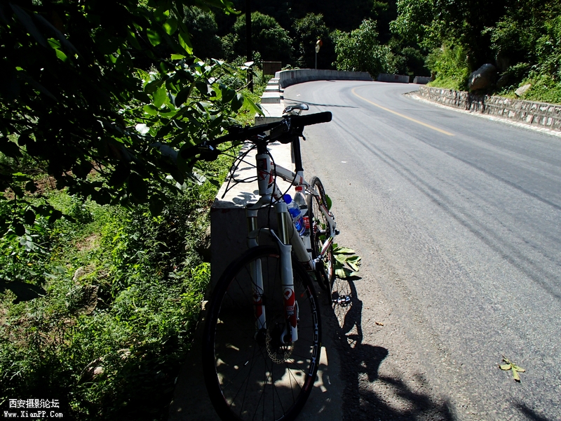 P7290445.jpg