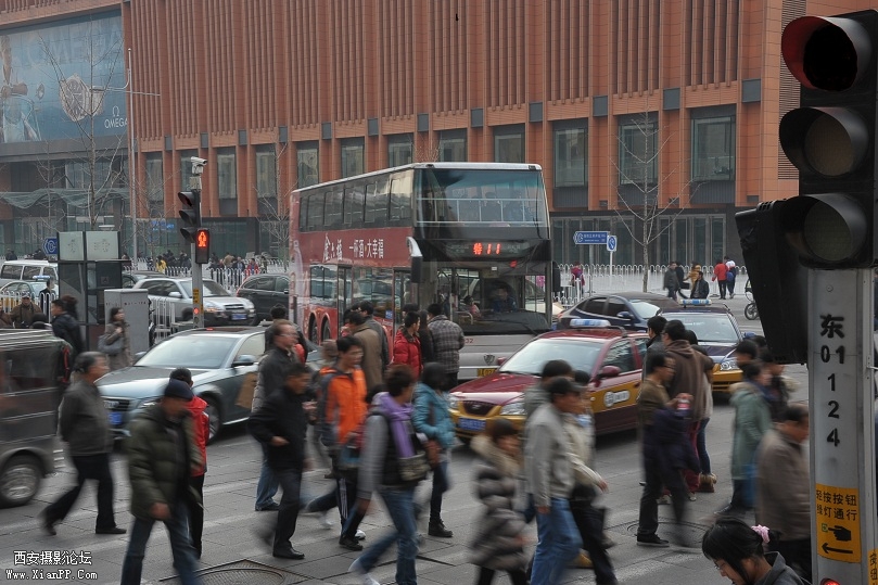 DSC_9224.JPG