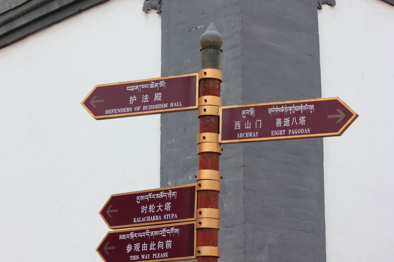 nEO_IMG_印象塔尔寺6.jpg
