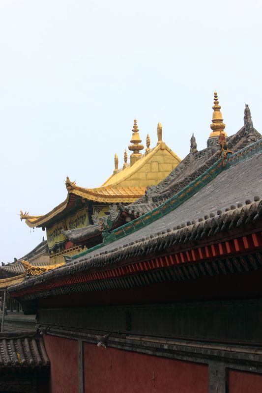nEO_IMG_印象塔尔寺16.jpg