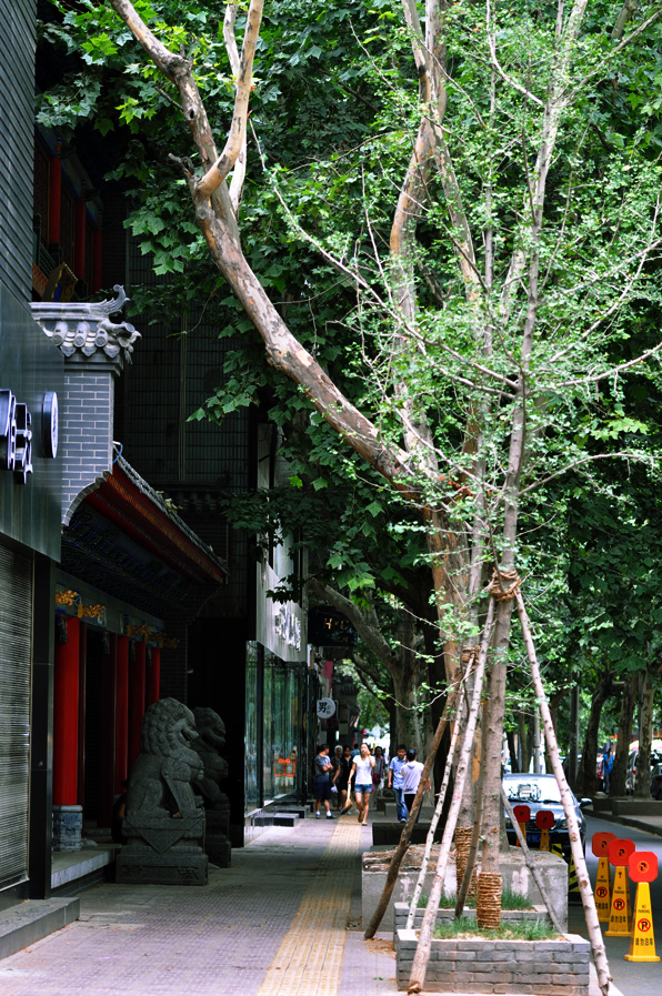 DSC_20.JPG