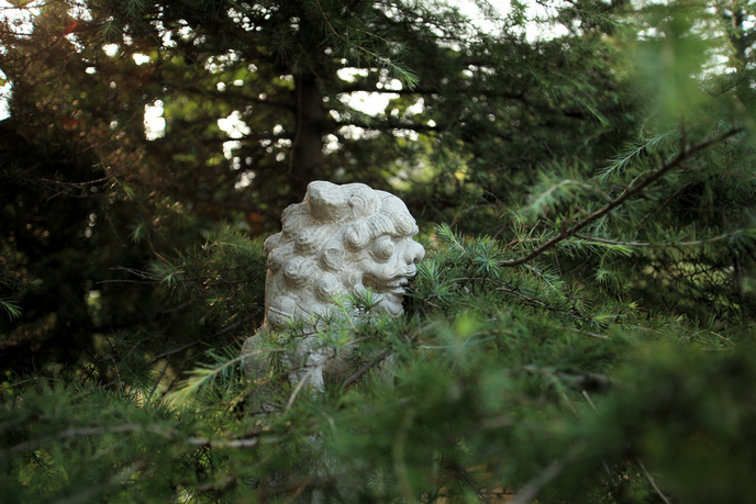 201208老，小刘山西游。119.JPG