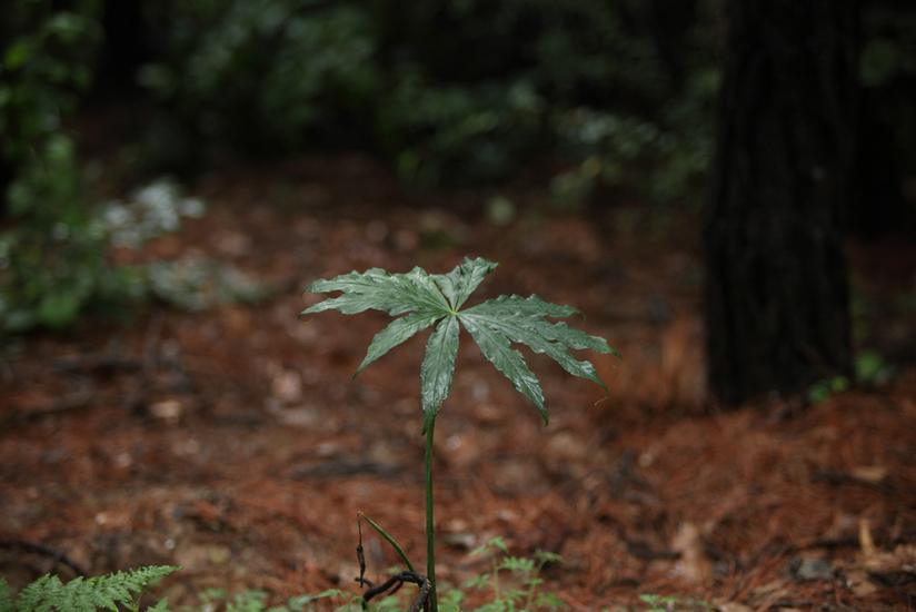 201208老，小刘山西游。180.JPG