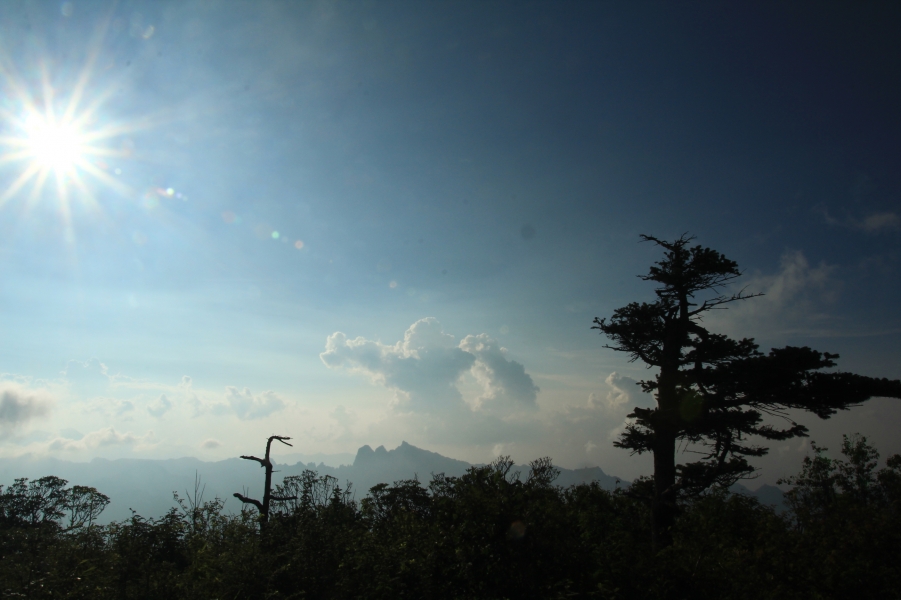 IMG_9609.JPG