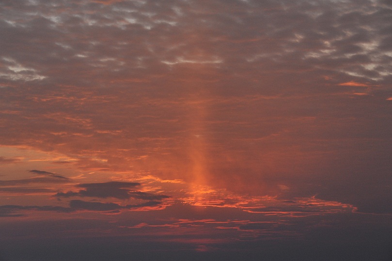 DSC_5269.JPG