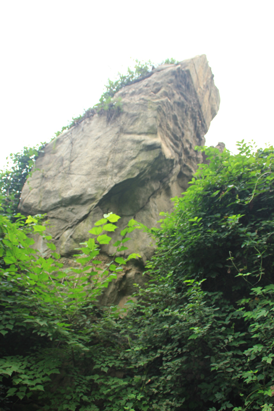 照片 113.jpg