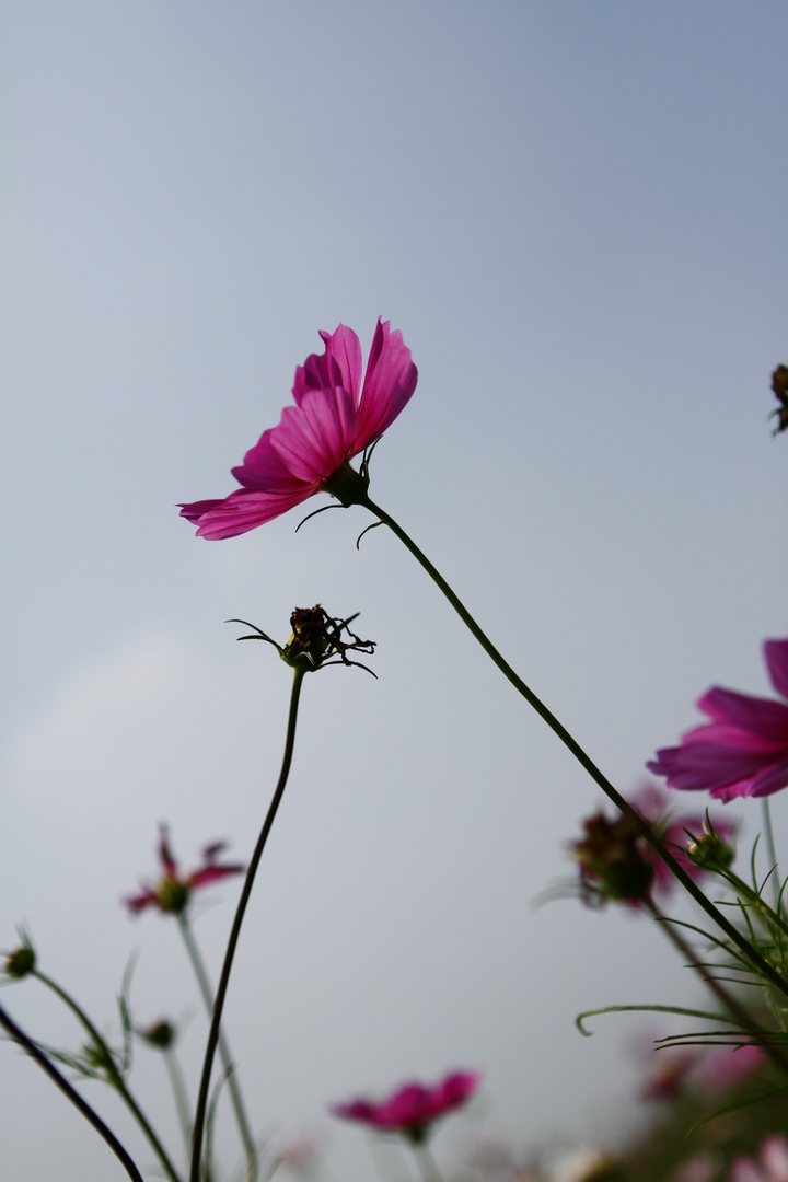 _MG_9378.JPG